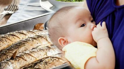 Може ли риба да се яде по време на кърмене?
