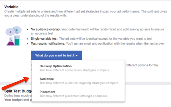 Изберете коя променлива да тествате във вашата Facebook кампания.