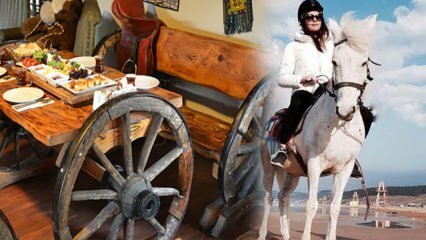 Къде е конната езда в Истанбул? Коне ферма пътеки за конна езда