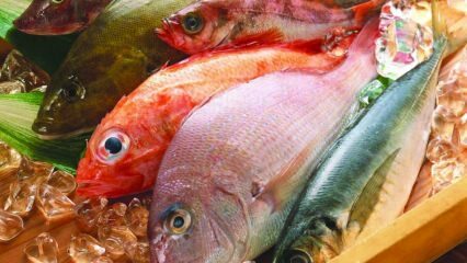 Влияние на рибата върху имунитета! Какви са ползите от рибата? Как да консумираме най-здравословната риба?