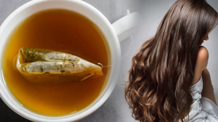 Какви са ползите от зеления чай за косата? Рецепта за маска от зелен чай за кожа