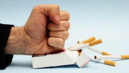 Ефекти от отказването от тютюнопушенето върху тялото! Какво се случва в тялото, когато прекратите пушенето?