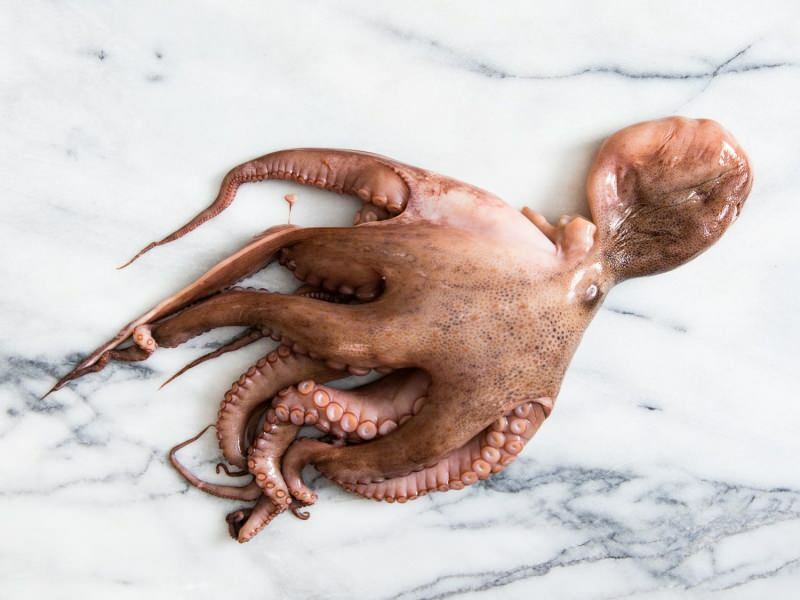 Как да почистите и готвите октопод у дома? Най-лесната техника за готвене на октопод