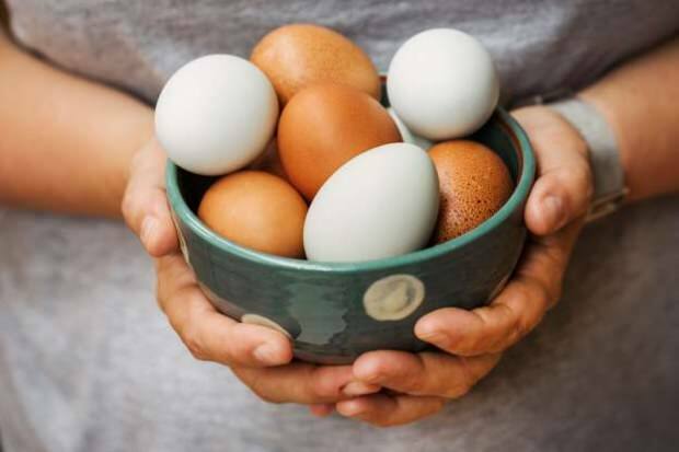 Как се прави анализ на органични яйца?