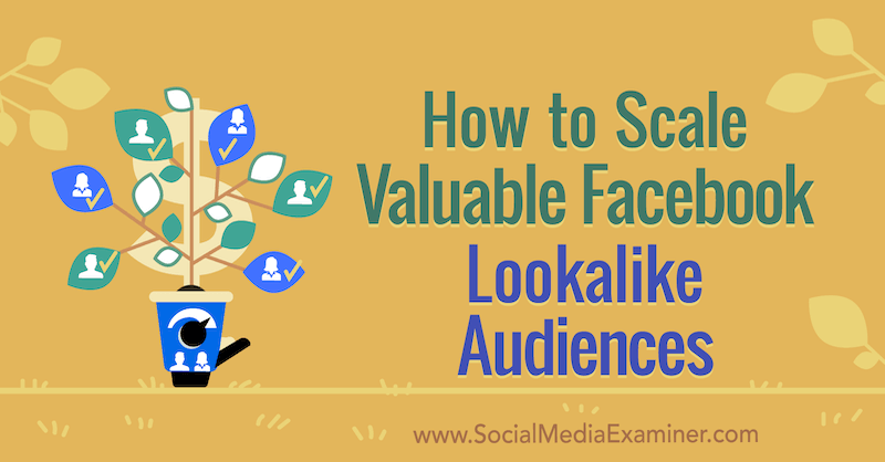 Как да мащабирате ценна Facebook Lookalike аудитория от Yahav Hartman в Social Media Examiner.
