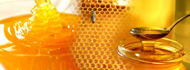 трябва ли да се дава мед на бебета?