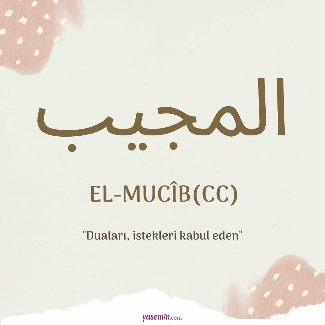 Какво означава ал-Муджиб (cc)?