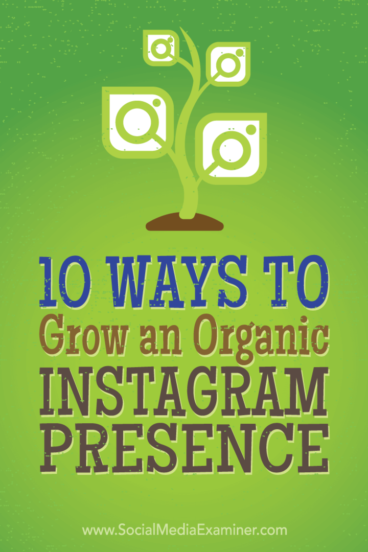 Съвети за 10 тактики, които топ маркетолозите са използвали, за да получат органично повече последователи в Instagram.