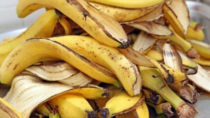 Какви са ползите от банан? Колко видове банани има? Неизвестни употреби на бананова кора! 