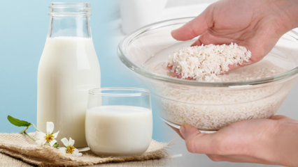 Как да приготвим оризово мляко за изгаряне на мазнини? Метод за отслабване с оризово мляко