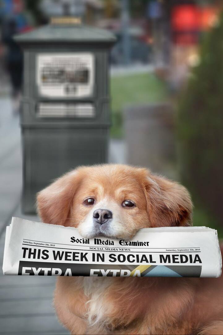 Meerkat представя хештегове на живо: Тази седмица в социалните медии: Проверка на социалните медии