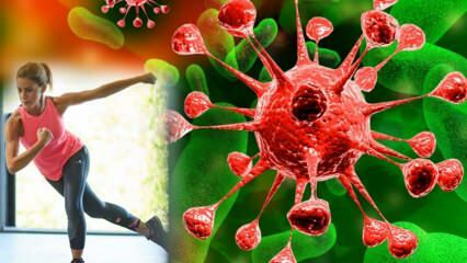 Как да подсилим слабата имунна система Упражнения и лекове, които укрепват имунната система