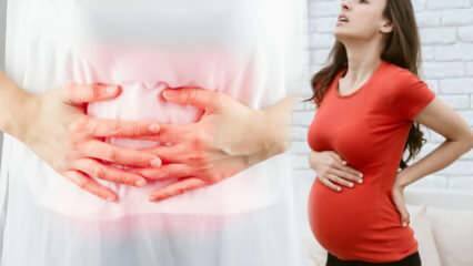 Как да разберем части от спонтанен аборт по време на бременност? Реализация на ниски ...