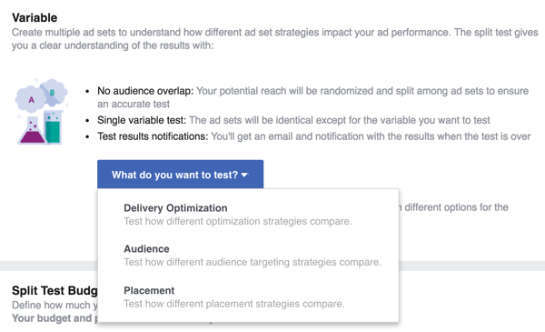 Изберете променливата, която искате да тествате с рекламата си във Facebook.