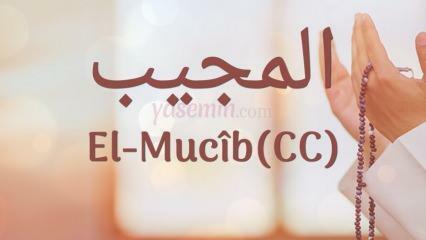 Какво означава ал-Муджиб (c.c)? Какви са достойнствата на името Ал-Муджиб? Есмаул Хусна ал-Муджиб...
