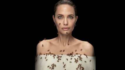 Анджелина Джоли в обектив с пчели за пчели!