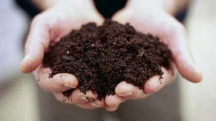 Как да предотвратим плесеняването на саксийната почва?