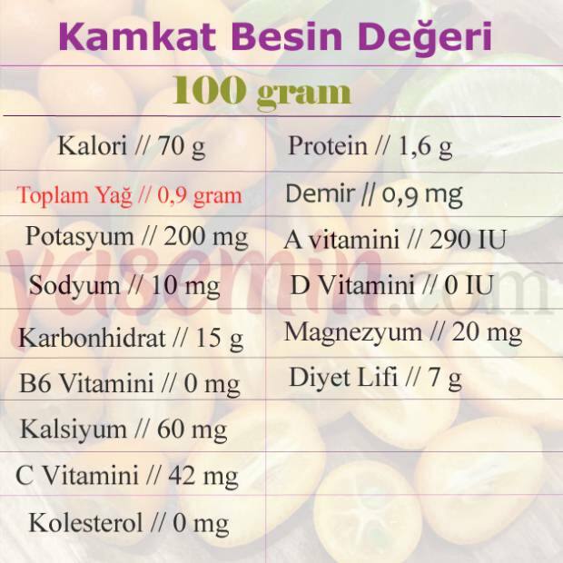 хранителна стойност kumquat