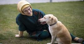 Публикация от първата дама Ердоган за Деня на защита на животните 4 октомври