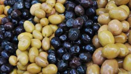 Как да разпознаем фалшивите маслини? Как маслината получава черен цвят? За потъмняване на маслината ...