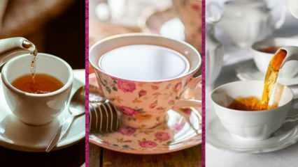 Кои са най-добрите модели чаши за чай от Evidea? 2022 Най-добрите модели чаши за чай и цени