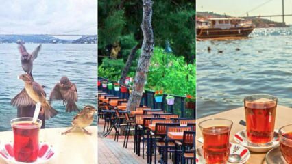 Семейни чайни градини от Анадолската страна на Истанбул