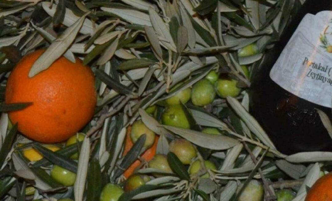 Жени предприемачи от Балъкесир произведоха портокалов зехтин!