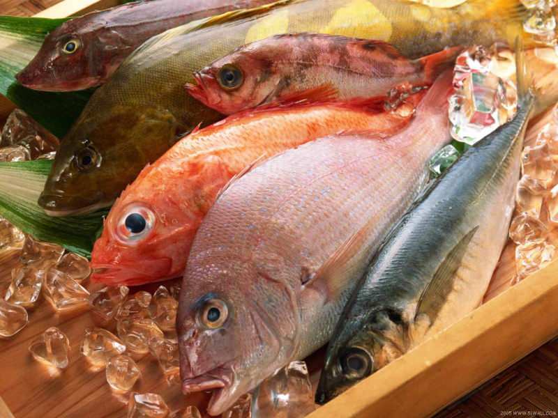 Съвети за избор на прясна риба от журито на Masterchef Mehmet Chef