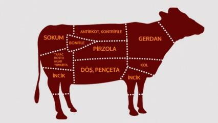 Какви са частите на говеждото? Кое месо от кой регион се нарязва?