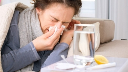 Кои са храните, които са полезни при настинки и грип? 5 храни, които предотвратяват грипа ...