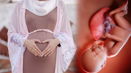 Молитви, които трябва да се рецитират за здравето на бебето по време на бременност и dhikr esmaül hüsna