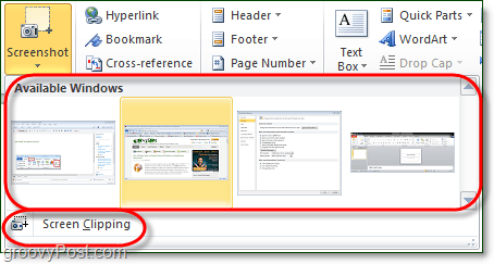 инструментът за екранна снимка има две опции в Office 2010