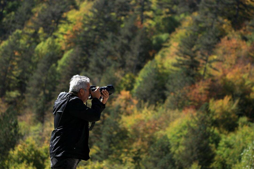 Планината Илгаз: Всички цветове на есента са тук