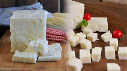 Какво е сирене Ezine и как се разбира? Рецепта за сирене Ezine