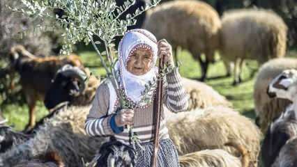 Леля Фатма е овчар в подножието на планината Аманос от половин век!