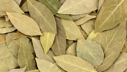 Какви са ползите от дафинов лист? Какво прави чаят от дафинов лист? Сместа за залив и лимон