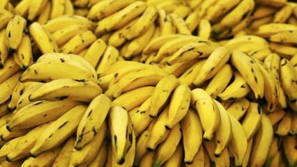 Ползата от кожата на банановата кора ли е? Как да използваме банана в грижата за кожата?