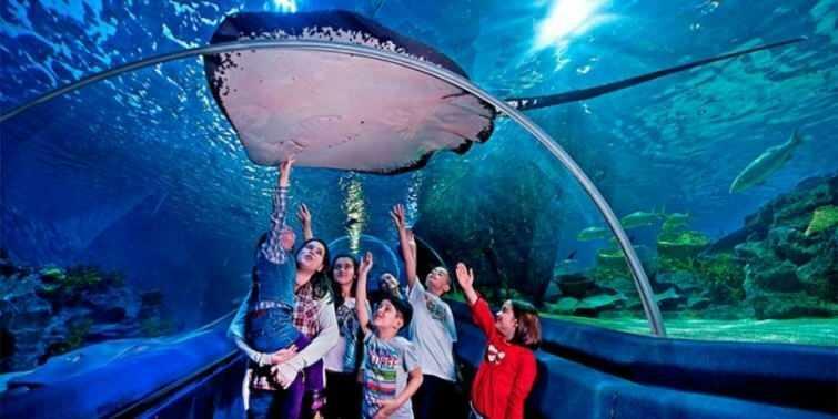  Кадри от аквариума Sea Life в Истанбул