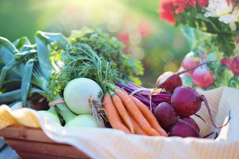 Каква е зеленчуковата диета? Как да си направим зеленчукова диета