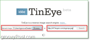 TinEye Screenshot - търси вашето изображение за дубликати и по-големи версии