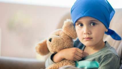 Какво е рак на кръвта (левкемия)? Симптоми и лечение на левкемия при деца
