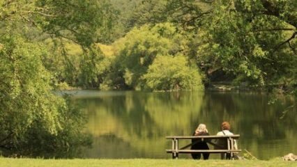 Как да стигна до Beynam Atatürk Forest? Зоните на алеята на Анкара ...