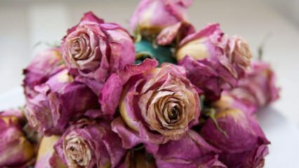 Методи и трикове за сушене на рози