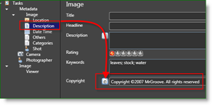 Фотографски инструменти на Microsoft Pro Фотограф MetaData Auto Copyright: groovyPost.com