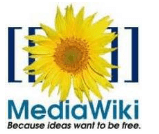 MediaWiki Plugin за Microsoft Word 2010 и 2007