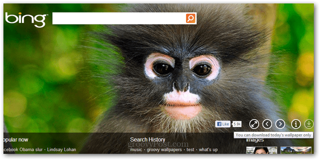 използвайте изображения за начална страница на Bing като тапет