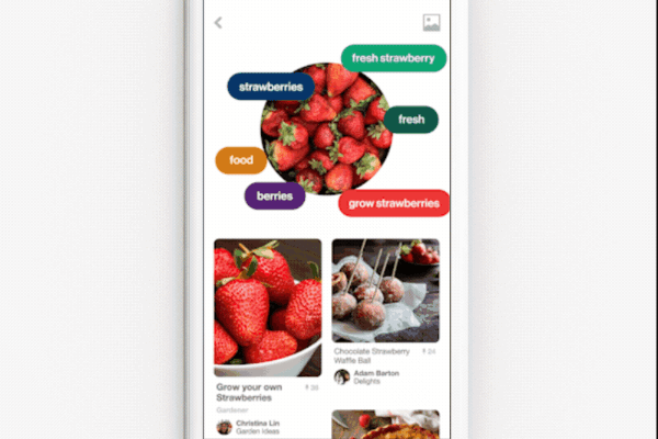 Pinterest въведе възможността да използва обективната камера, за да направи снимка на цяло ястие и да получи рецепти за пресъздаване на ястието.