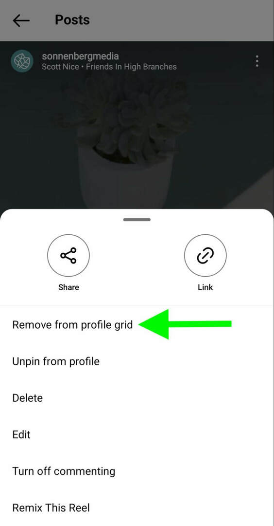 как да-instagram-unpin-reels-profile-remove-grid-sonnenbergmedia-step-4