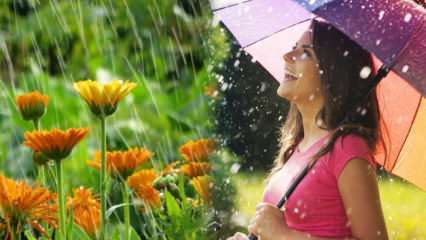 Априлски дъжд лекува ли? Какви са молитвите, които трябва да бъдат прочетени в дъждовната вода? Ползите от априлския дъжд