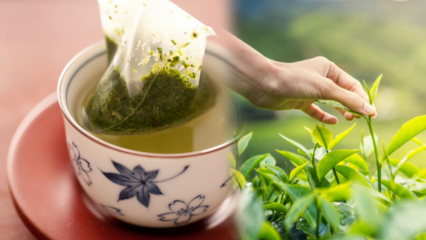 Отслабва ли разклащането на зелен чай? Каква е разликата между чаените торбички и сварения чай? Ако пиете зелен чай преди лягане ...